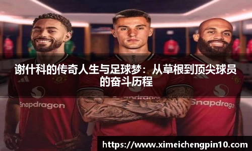 谢什科的传奇人生与足球梦：从草根到顶尖球员的奋斗历程